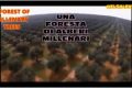 FRAUD OF XYLELLA IN THE SALENTO LAND - IN 5 MINUTES ONLY - servizi di BelSalento